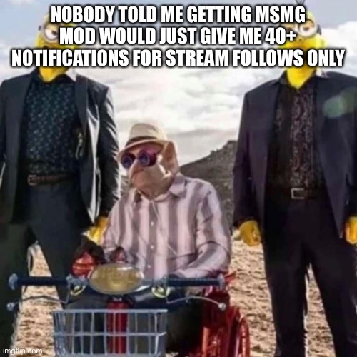 Anyway hi chat bye chat | NOBODY TOLD ME GETTING MSMG MOD WOULD JUST GIVE ME 40+ NOTIFICATIONS FOR STREAM FOLLOWS ONLY | image tagged in feel free to screenshot | made w/ Imgflip meme maker