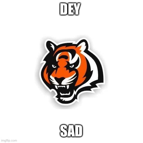 That guy gave the chiefs the win | DEY; SAD | image tagged in cincinnati bengals,kansas city chiefs,loss | made w/ Imgflip meme maker