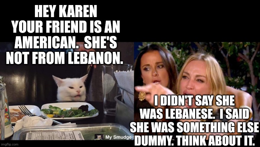 HEY KAREN YOUR FRIEND IS AN AMERICAN.  SHE'S NOT FROM LEBANON. I DIDN'T SAY SHE WAS LEBANESE.  I SAID SHE WAS SOMETHING ELSE DUMMY. THINK ABOUT IT. | image tagged in smudge the cat,funny memes | made w/ Imgflip meme maker