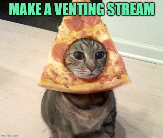pizza cat | MAKE A VENTING STREAM | image tagged in pizza cat | made w/ Imgflip meme maker