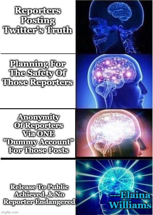 Expanding Brain Meme | Reporters Posting Twitter's Truth; Planning For The Safety Of Those Reporters; Anonymity Of Reporters Via ONE "Dummy Account" For Those Posts; Release To Public Achieved, & No Reporter Endangered; ---Elaina Williams | image tagged in memes,expanding brain | made w/ Imgflip meme maker
