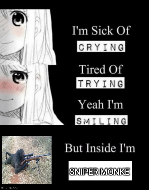 I'm Sick Of Crying | SNIPER MONKE | image tagged in i'm sick of crying,monke,memes | made w/ Imgflip meme maker