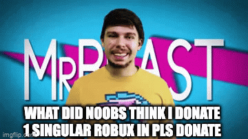 Roblox pls donate Memes & GIFs - Imgflip