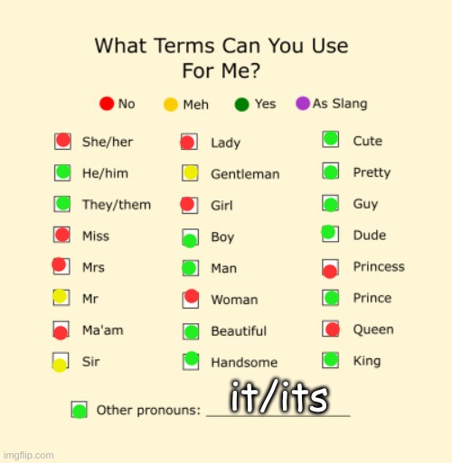 Hehe | it/its | image tagged in pronouns sheet | made w/ Imgflip meme maker