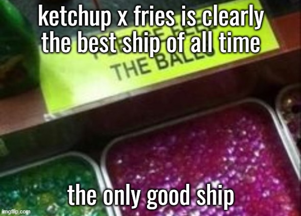 PLEASE FEEL THE BALLS | ketchup x fries is clearly the best ship of all time; the only good ship | image tagged in please feel the balls | made w/ Imgflip meme maker