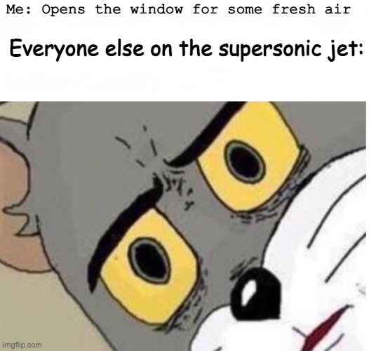 confused tom | Me: Opens the window for some fresh air; Everyone else on the supersonic jet: | image tagged in confused tom | made w/ Imgflip meme maker