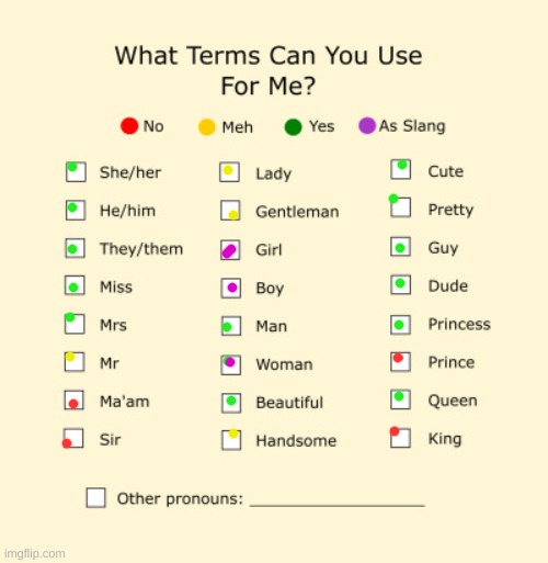 Sus | image tagged in pronouns sheet | made w/ Imgflip meme maker