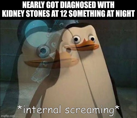 Now must drown myself in water to stay hydrated so I don't get worse | NEARLY GOT DIAGNOSED WITH KIDNEY STONES AT 12 SOMETHING AT NIGHT | image tagged in private internal screaming | made w/ Imgflip meme maker