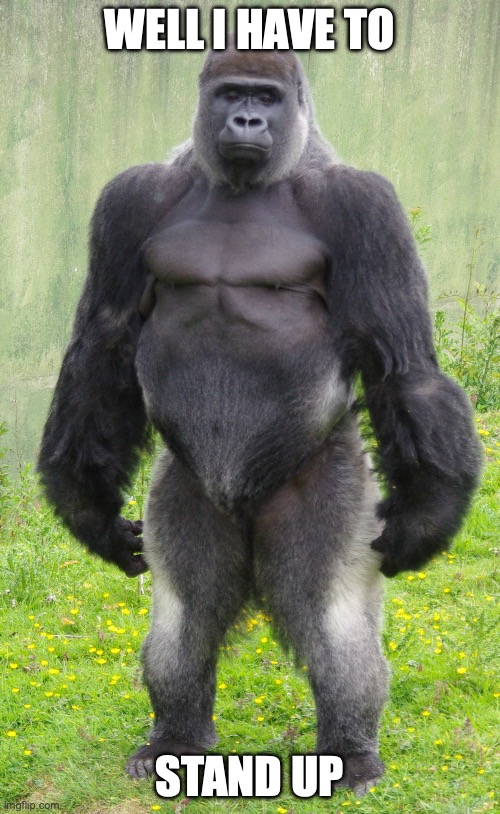 Gorilla standing up straight | WELL I HAVE TO STAND UP | image tagged in gorilla standing up straight | made w/ Imgflip meme maker