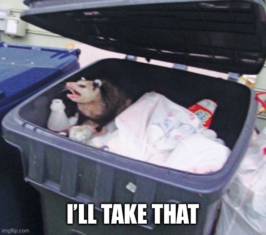 Awesome Opossum | I’LL TAKE THAT | image tagged in awesome opossum | made w/ Imgflip meme maker