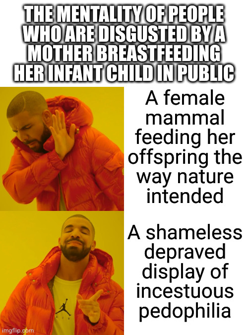 Here's a thought: if you don't want to see it, look away! | THE MENTALITY OF PEOPLE
WHO ARE DISGUSTED BY A
MOTHER BREASTFEEDING
HER INFANT CHILD IN PUBLIC; A female
mammal
feeding her
offspring the
way nature
intended; A shameless
depraved
display of
incestuous
pedophilia | image tagged in memes,drake hotline bling | made w/ Imgflip meme maker