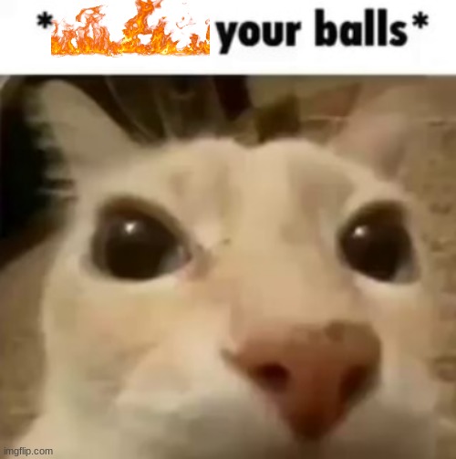 fires your balls | image tagged in x your balls | made w/ Imgflip meme maker