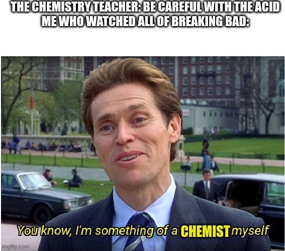 You know, I'm something of a _ myself | THE CHEMISTRY TEACHER: BE CAREFUL WITH THE ACID
ME WHO WATCHED ALL OF BREAKING BAD:; CHEMIST | image tagged in you know i'm something of a _ myself | made w/ Imgflip meme maker