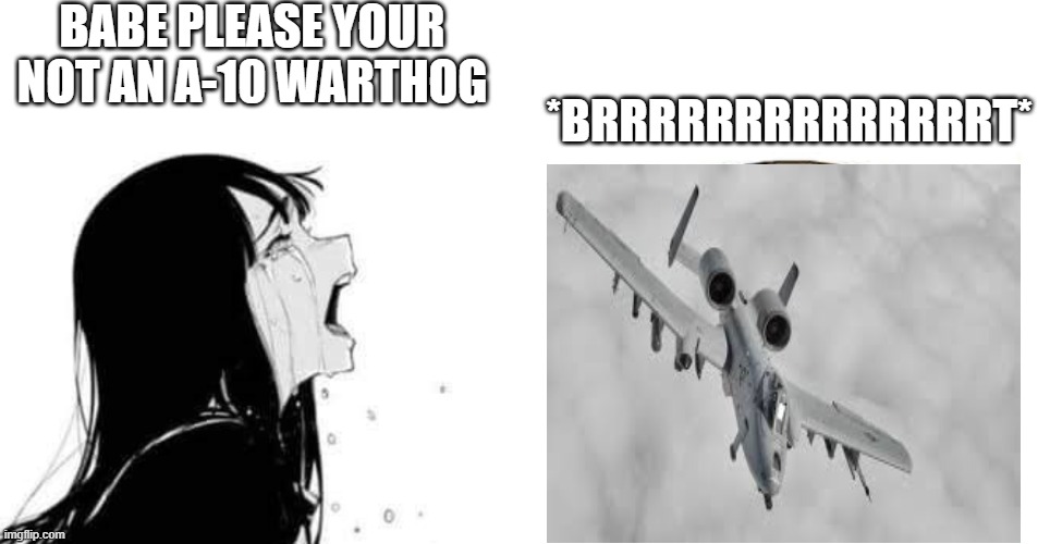 *brrrrrrrrrrrt* | BABE PLEASE YOUR NOT AN A-10 WARTHOG; *BRRRRRRRRRRRRRRT* | image tagged in babe please | made w/ Imgflip meme maker