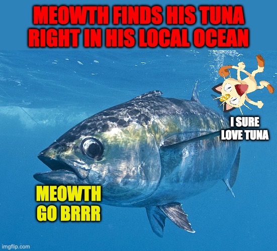 Last meme contest prize for Surly, I forgot to submit this last night | MEOWTH FINDS HIS TUNA RIGHT IN HIS LOCAL OCEAN; I SURE LOVE TUNA; MEOWTH GO BRRR | image tagged in tuna fish,meowth,loves,his,tuna | made w/ Imgflip meme maker