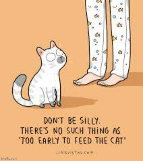A Cat's Way Of Thinking | image tagged in memes,comics,cats,feed,too early,never | made w/ Imgflip meme maker