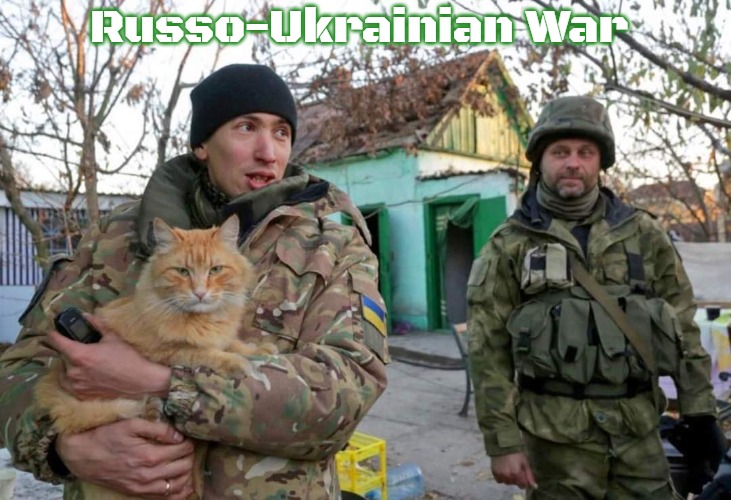 Ukrainian War Cat | Russo-Ukrainian War | image tagged in ukrainian war cat,russo-ukrainian war,slavic | made w/ Imgflip meme maker