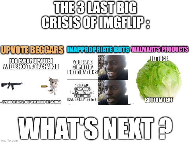 Imgflip's crisis | THE 3 LAST BIG CRISIS OF IMGFLIP :; WALMART'S PRODUCTS; UPVOTE BEGGARS; INAPPROPRIATE BOTS; WHAT'S NEXT ? | image tagged in meanwhile on imgflip | made w/ Imgflip meme maker