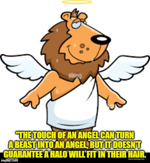 "THE TOUCH OF AN ANGEL CAN TURN A BEAST INTO AN ANGEL, BUT IT DOESN'T GUARANTEE A HALO WILL FIT IN THEIR HAIR. | made w/ Imgflip meme maker