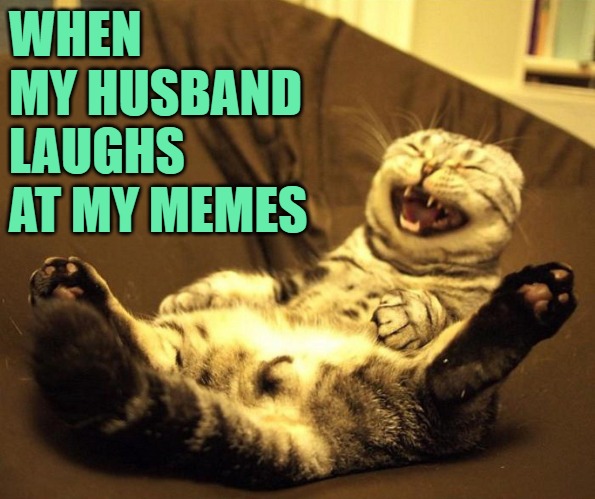 Love and Memes | WHEN MY HUSBAND LAUGHS AT MY MEMES | image tagged in laughing cat,funny memes,making memes,sense of humor,marriage,success | made w/ Imgflip meme maker