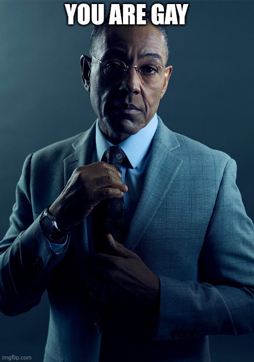 Gus Fring we are not the same | YOU ARE GAY | image tagged in gus fring we are not the same | made w/ Imgflip meme maker