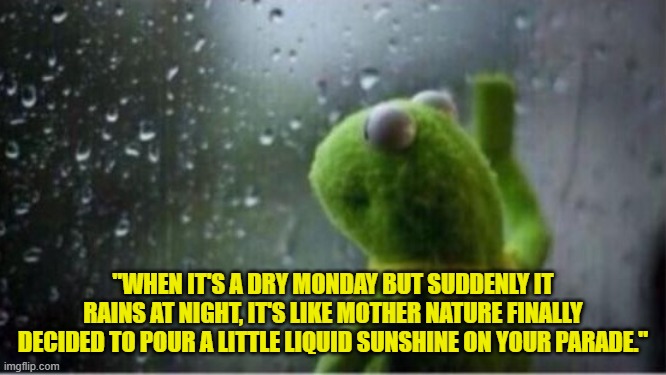 Kermit rain | "WHEN IT'S A DRY MONDAY BUT SUDDENLY IT RAINS AT NIGHT, IT'S LIKE MOTHER NATURE FINALLY DECIDED TO POUR A LITTLE LIQUID SUNSHINE ON YOUR PARADE." | image tagged in kermit rain | made w/ Imgflip meme maker