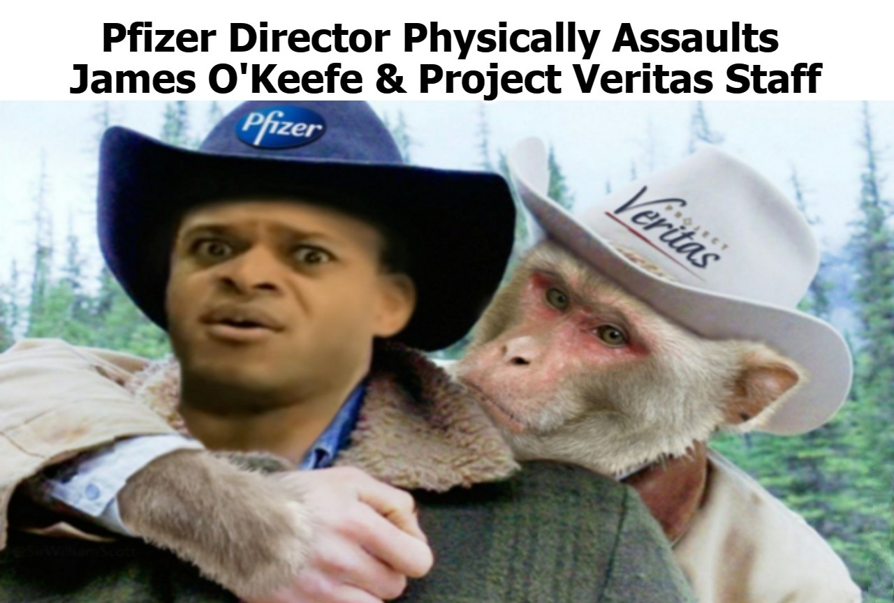 Pfizer Director  Gets Owned by Project Veritas | image tagged in pfizer,project veritas,brokeback mountain | made w/ Imgflip meme maker