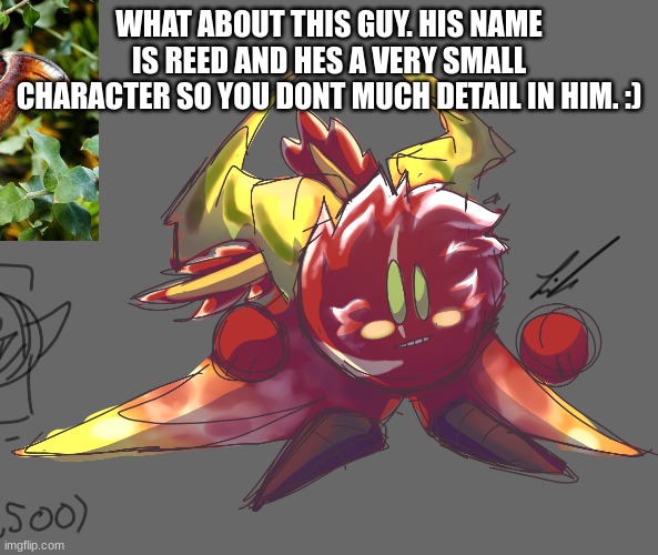 WHAT ABOUT THIS GUY. HIS NAME IS REED AND HES A VERY SMALL CHARACTER SO YOU DONT MUCH DETAIL IN HIM. :) | made w/ Imgflip meme maker
