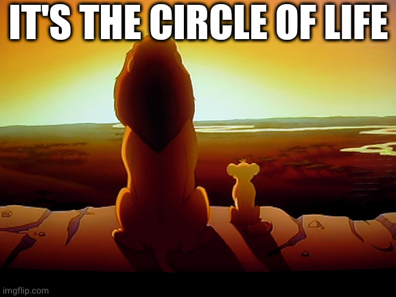 Lion King Meme | IT'S THE CIRCLE OF LIFE | image tagged in memes,lion king | made w/ Imgflip meme maker