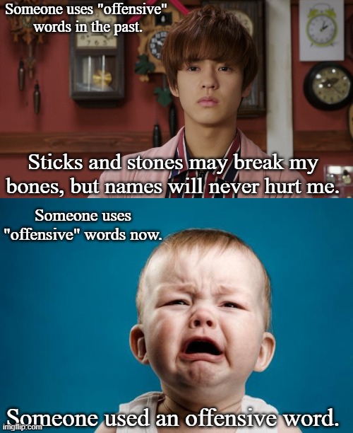Which approach is better? | Someone uses "offensive"  words in the past. Sticks and stones may break my bones, but names will never hurt me. Someone uses "offensive" words now. Someone used an offensive word. | image tagged in stoic sougo,baby crying,memes | made w/ Imgflip meme maker