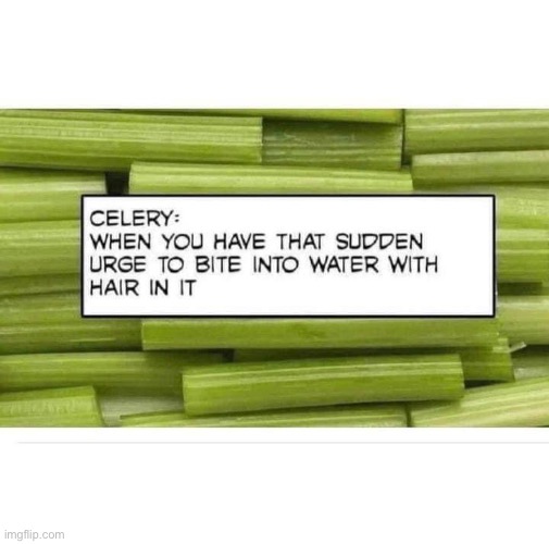 Celery | image tagged in dad joke | made w/ Imgflip meme maker