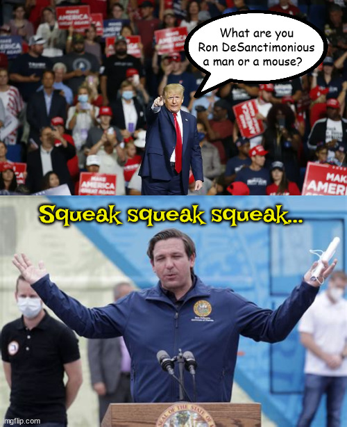 Trump attacks DeSantis | What are you Ron DeSanctimonious a man or a mouse? Squeak squeak squeak... | image tagged in donald trump,ron desantis,trump rally,election 2024,maga,mouse | made w/ Imgflip meme maker