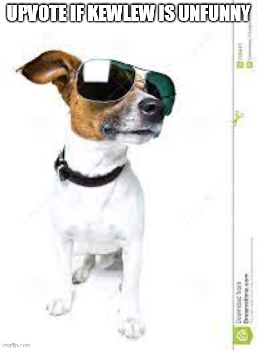 Meme dog with shades | UPVOTE IF KEWLEW IS UNFUNNY | image tagged in meme dog with shades | made w/ Imgflip meme maker