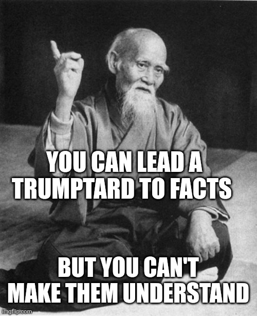 Trumptards | YOU CAN LEAD A TRUMPTARD TO FACTS; BUT YOU CAN'T MAKE THEM UNDERSTAND | image tagged in wise master | made w/ Imgflip meme maker