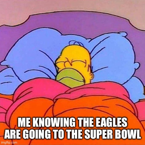 The Eagles Are Going To The Super Bowl | ME KNOWING THE EAGLES ARE GOING TO THE SUPER BOWL | image tagged in homer napping,philadelphia eagles,super bowl,nfl memes,good nights sleep | made w/ Imgflip meme maker