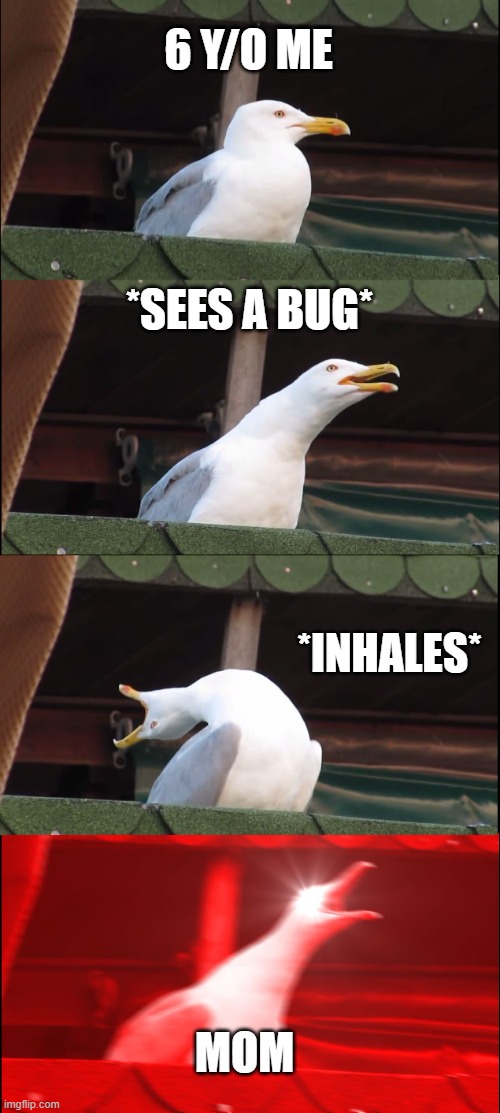 Inhaling Seagull | 6 Y/O ME; *SEES A BUG*; *INHALES*; MOM | image tagged in memes,inhaling seagull | made w/ Imgflip meme maker