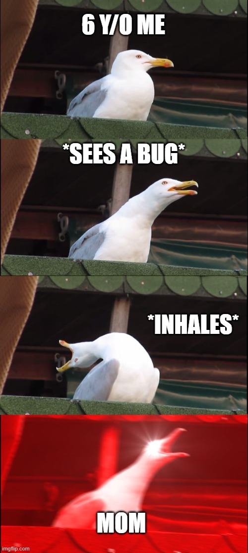 Inhaling Seagull Meme | 6 Y/O ME; *SEES A BUG*; *INHALES*; MOM | image tagged in memes,inhaling seagull | made w/ Imgflip meme maker