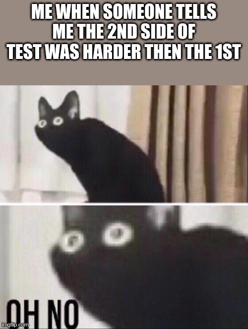 Oh no cat | ME WHEN SOMEONE TELLS ME THE 2ND SIDE OF TEST WAS HARDER THEN THE 1ST | image tagged in oh no cat | made w/ Imgflip meme maker