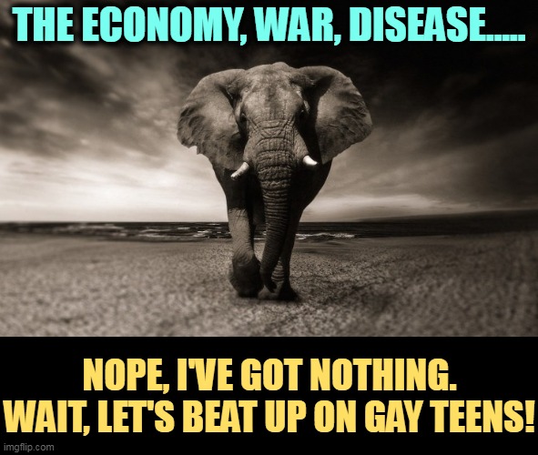 THE ECONOMY, WAR, DISEASE..... NOPE, I'VE GOT NOTHING.
WAIT, LET'S BEAT UP ON GAY TEENS! | image tagged in conservative,right wing,republicans,hate,gay,teens | made w/ Imgflip meme maker