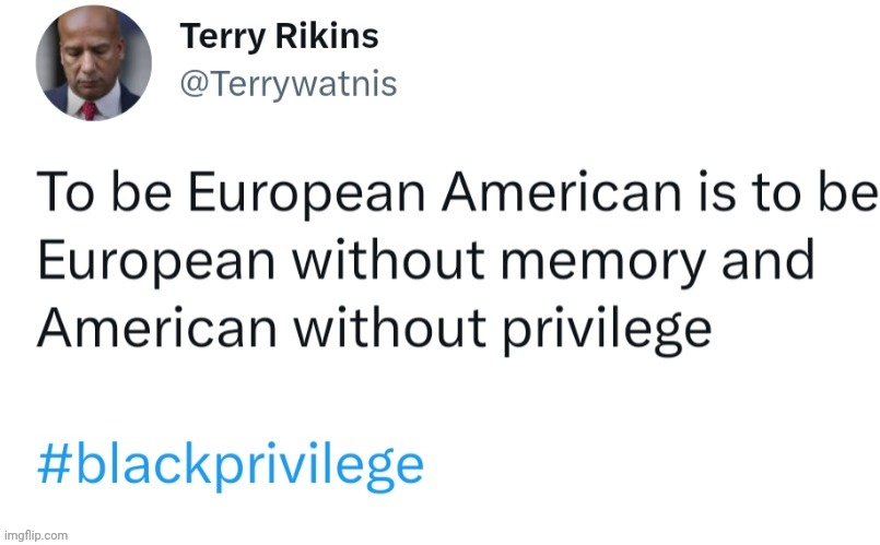 To be European American is to be European without memory and American without privilege | image tagged in to be european american is to be european without memory and ame,black privilege meme | made w/ Imgflip meme maker