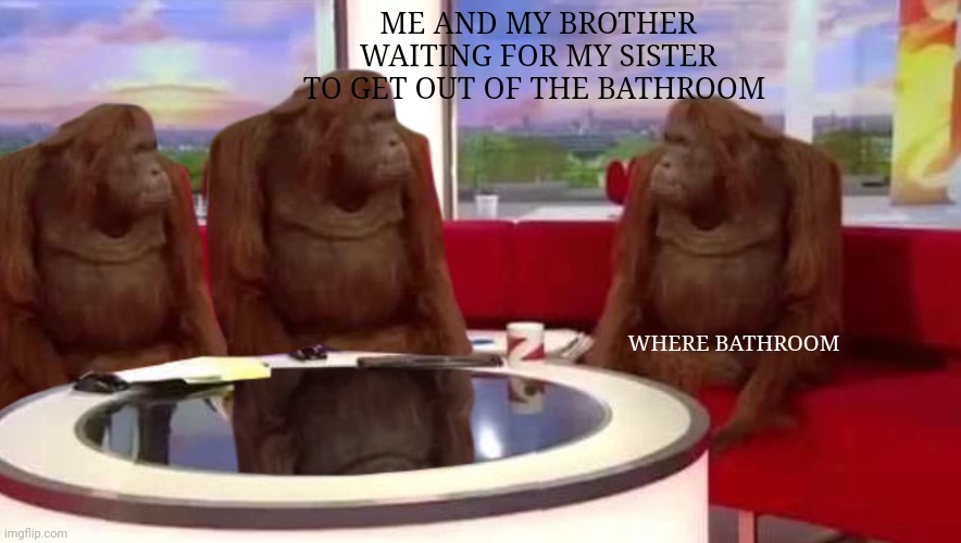 Why she takes 15 MINUTES | ME AND MY BROTHER WAITING FOR MY SISTER TO GET OUT OF THE BATHROOM; WHERE BATHROOM | image tagged in where monkey | made w/ Imgflip meme maker