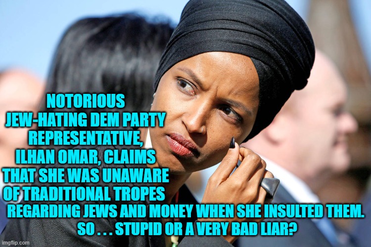 Why not both?  She is, after all, a Dem. | NOTORIOUS JEW-HATING DEM PARTY REPRESENTATIVE, ILHAN OMAR, CLAIMS THAT SHE WAS UNAWARE OF TRADITIONAL TROPES; REGARDING JEWS AND MONEY WHEN SHE INSULTED THEM.
 SO . . . STUPID OR A VERY BAD LIAR? | image tagged in reality | made w/ Imgflip meme maker