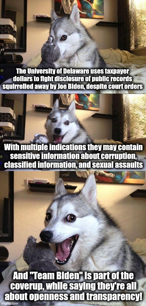 Part of a massive coverup by the most secretive and opaque administration in decades | The University of Delaware uses taxpayer dollars to fight disclosure of public records squirrelled away by Joe Biden, despite court orders; With multiple indications they may contain
sensitive information about corruption, classified information, and sexual assaults; And "Team Biden" is part of the
coverup, while saying they're all
about openness and transparency! | image tagged in memes,bad pun dog,joe biden,university of delaware,records,democrats | made w/ Imgflip meme maker