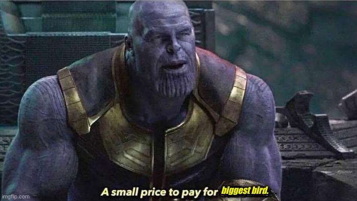 A small price to pay | biggest bird. | image tagged in a small price to pay | made w/ Imgflip meme maker