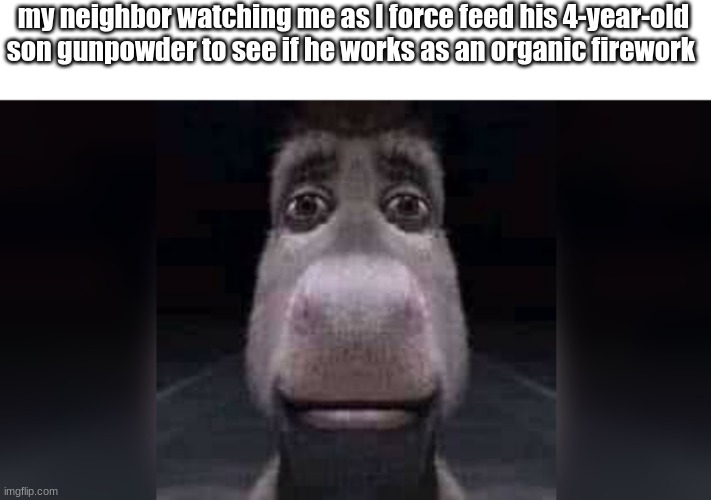 memes that if you laugh you ? | my neighbor watching me as I force feed his 4-year-old son gunpowder to see if he works as an organic firework | image tagged in funny memes,stare,goofy ahh | made w/ Imgflip meme maker