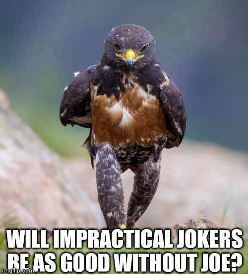 Wondering Wandering Falcon | WILL IMPRACTICAL JOKERS BE AS GOOD WITHOUT JOE? | image tagged in wondering wandering falcon | made w/ Imgflip meme maker