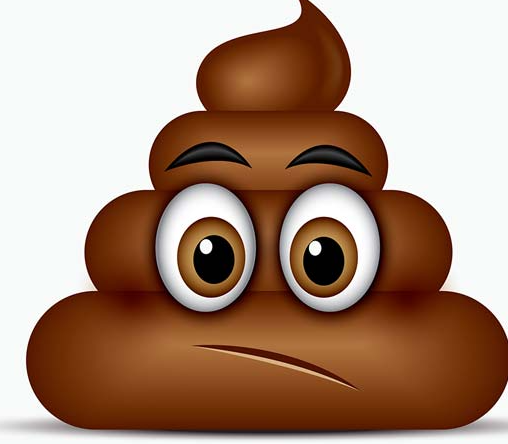 High Quality poop emoji Blank Meme Template