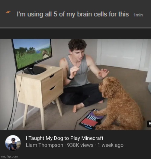 teaching dog how to play minecraft | image tagged in im using all 5 of my braincells for this,what if we used 100 of the brain,funny,meme,memes,fun | made w/ Imgflip meme maker
