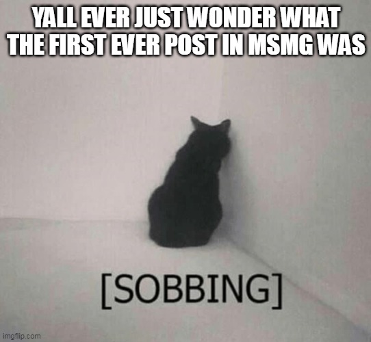 Sobbing cat | YALL EVER JUST WONDER WHAT THE FIRST EVER POST IN MSMG WAS | image tagged in sobbing cat | made w/ Imgflip meme maker