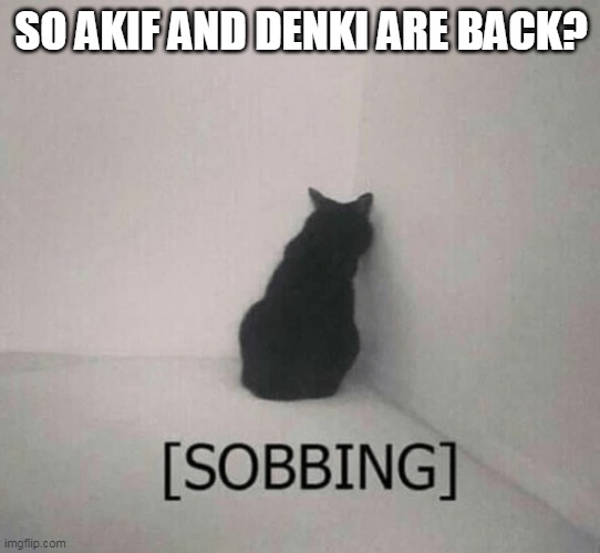 Sobbing cat | SO AKIF AND DENKI ARE BACK? | image tagged in sobbing cat | made w/ Imgflip meme maker